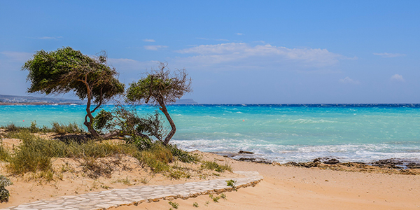 Improvement management South Adriatic coasts Beach and rough sea