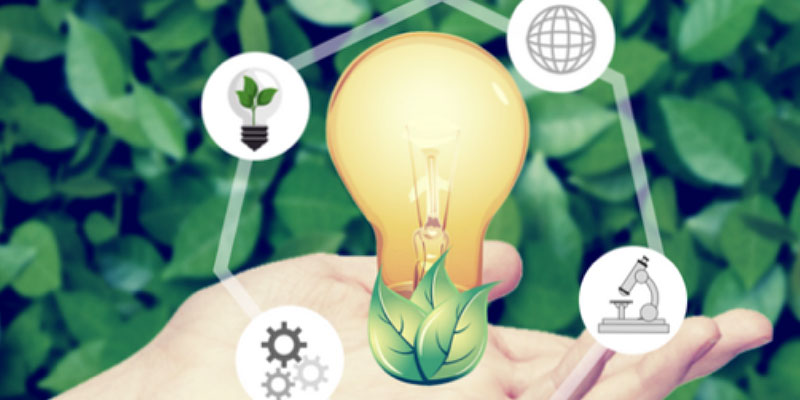 Fertilization Innovation Labs in Agro-food hand with light bulb