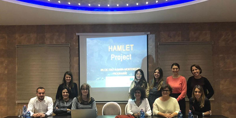 HAMLET project partners