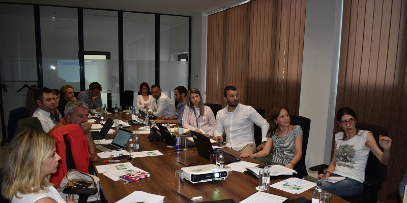 Mid-term Steering Committee and Consortium meeting in Niksic meeting
