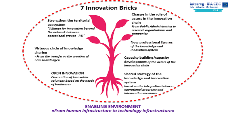 Innovation scheme