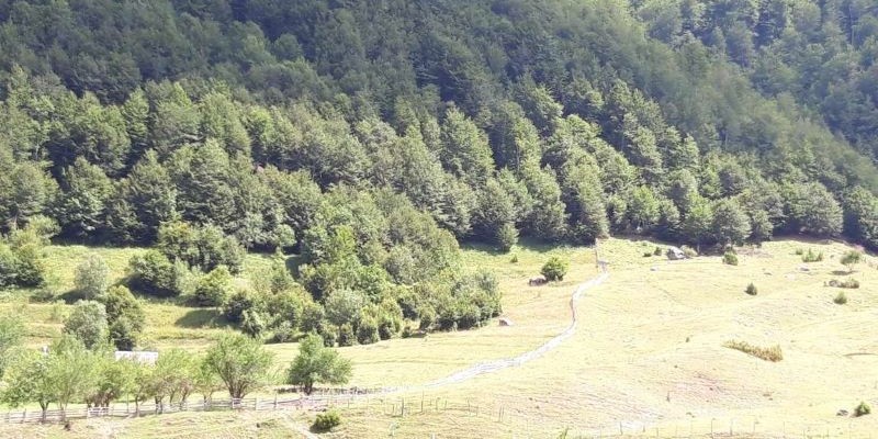 Territorial Marketing event on 18 August in Albania wood
