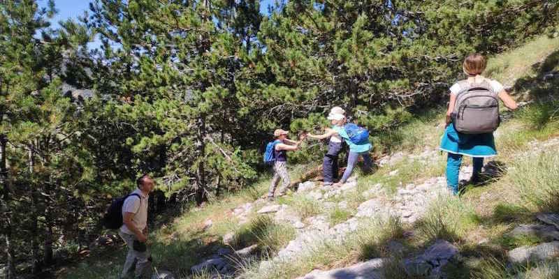 Monitoring of Pinus heldreichii in Montenegro people in a wood