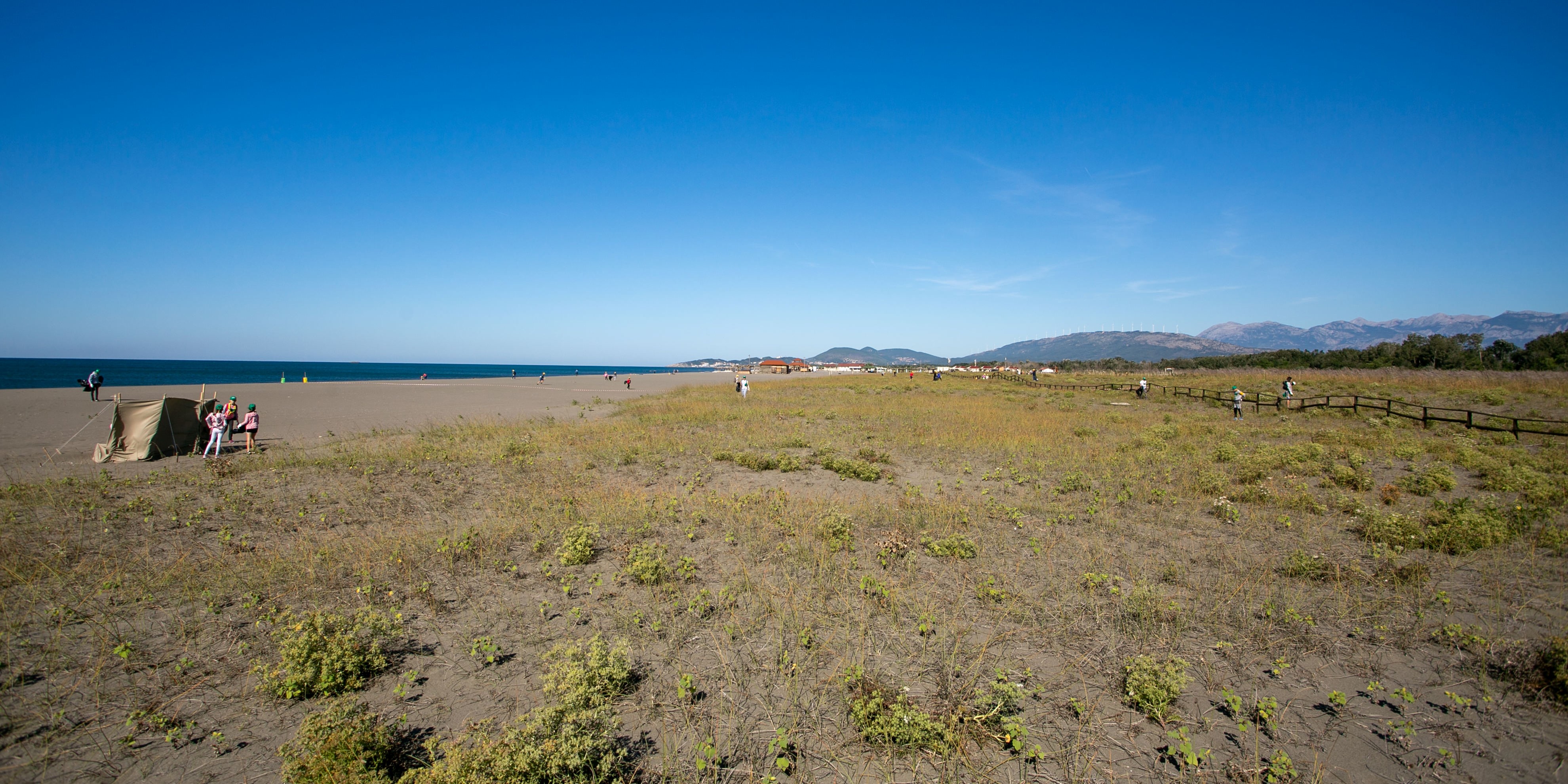 lawn with sand dunes