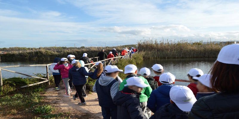 children in a Park of Coastal Dunes