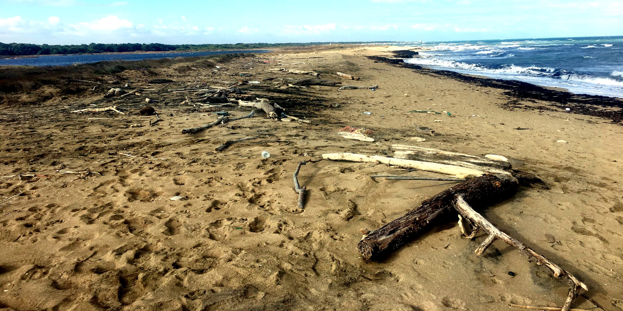 Workshop “Monitoring, management and reuse of marine litter" beach