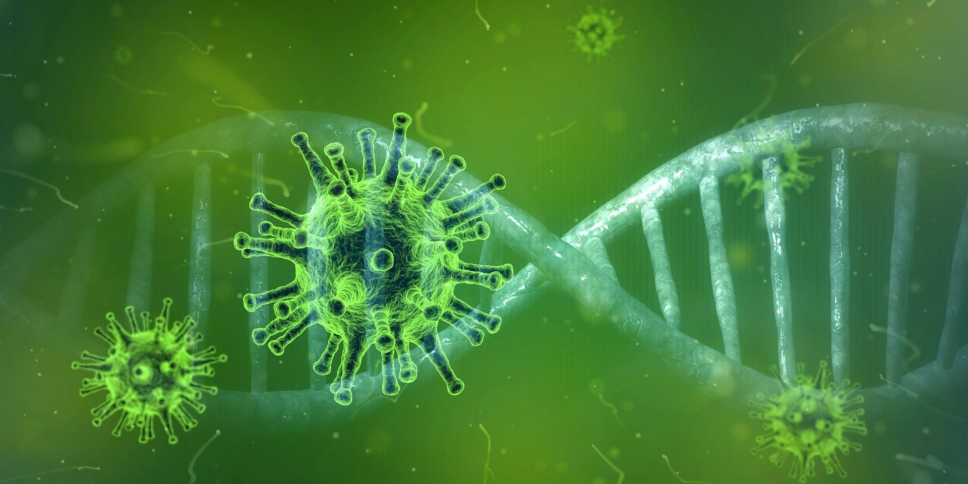 COVID-19 VIRUS virus