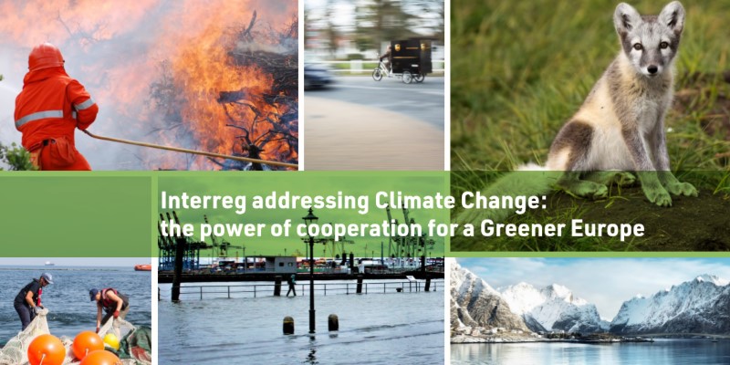 Climate Change: new e-book online, with four of our projects! enviroment photos