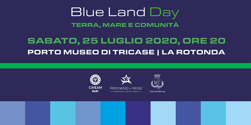 Blue Land poster