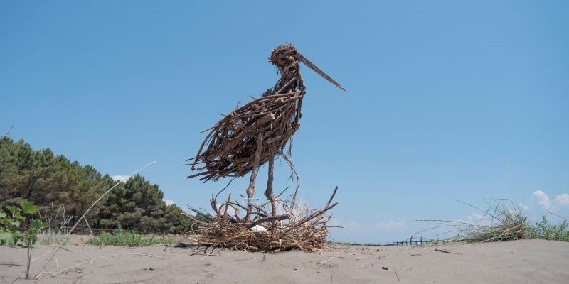 bird made with wooden twigs