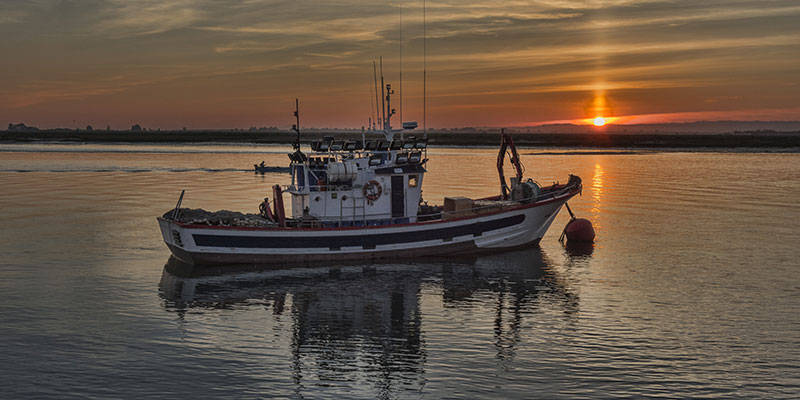 boat in the sea