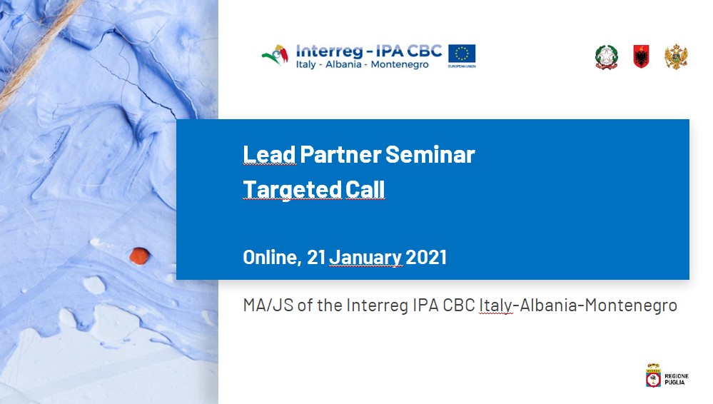 Online 21 January 2021 Lead Partner Seminar - Targeted Call
