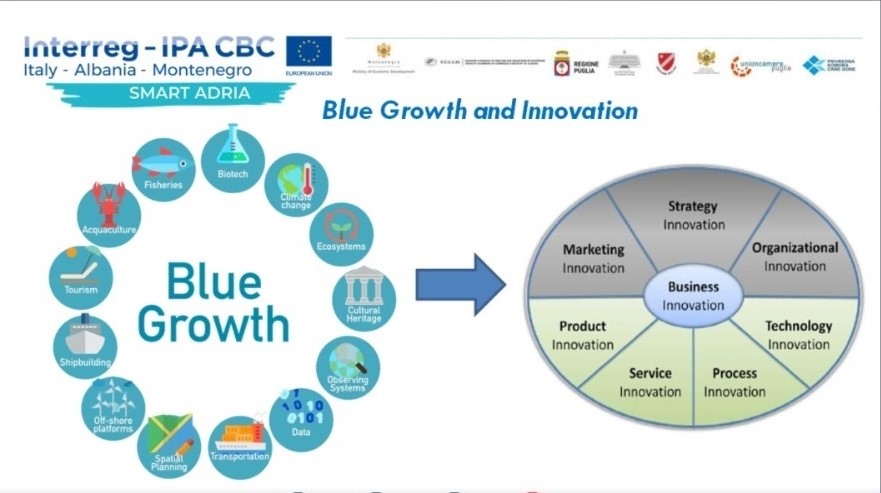 Second day with innovative projects and working groups Blue Growth and Innovation infographic