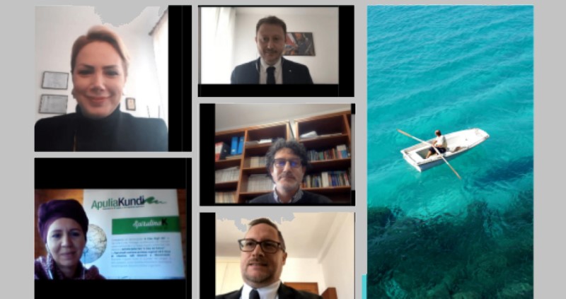 Cross-Border Conference Meeting call