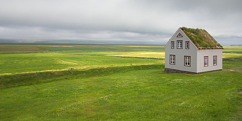 house in green lawn