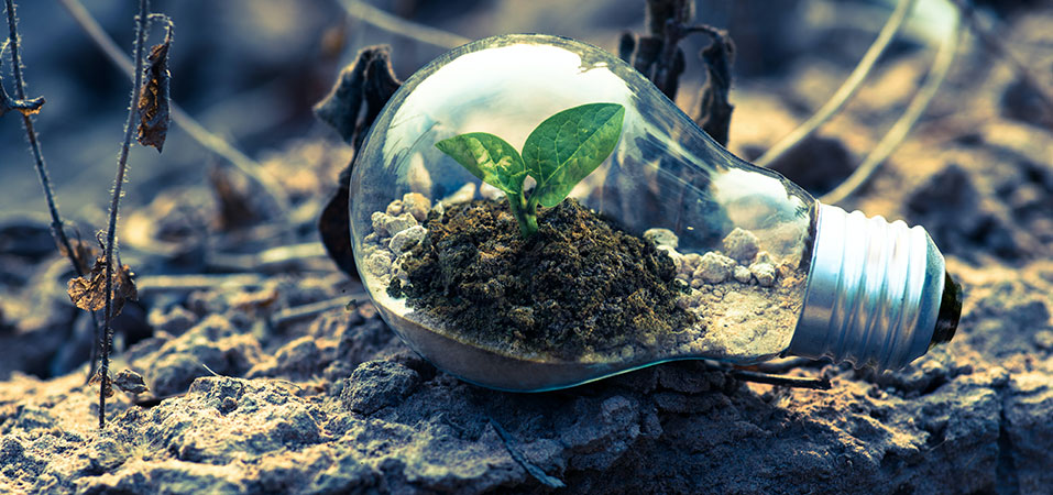 Promotion of common efficiency and sustainable energy light bulb