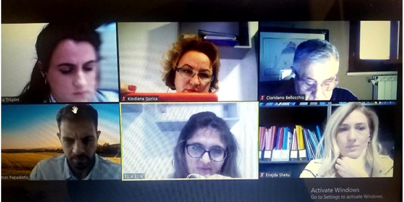 Webinar with discussion about the project Meeting call
