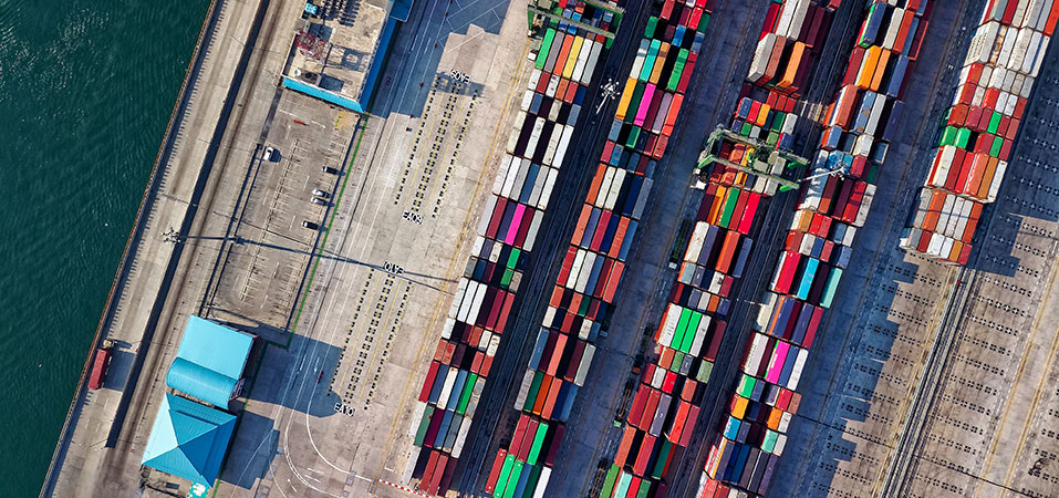 Building of a solid network of public and private stakeholder port