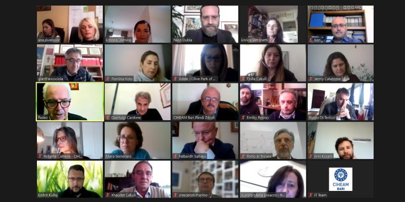 The poetry of Ancient Olive Orchards Meeting call
