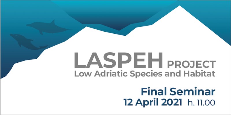 final seminar of LASPEH Laspeh Poster