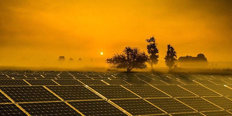 solar panels
