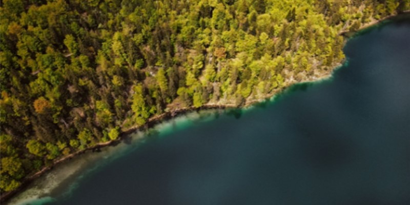 LONETA project is looking for stakeholders interested in negative emission technologies in the forest and marine sector sea and trees