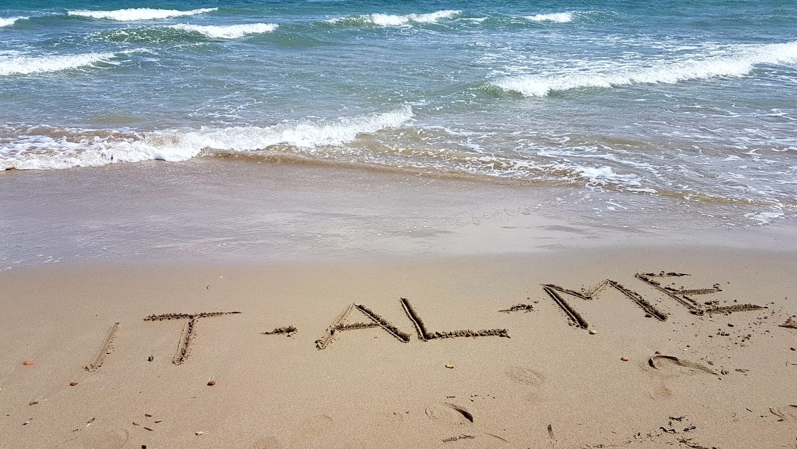 We hope you have a wonderful summer break sea