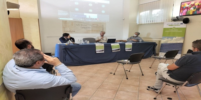 meetings with Local Goverance Systems Meeting