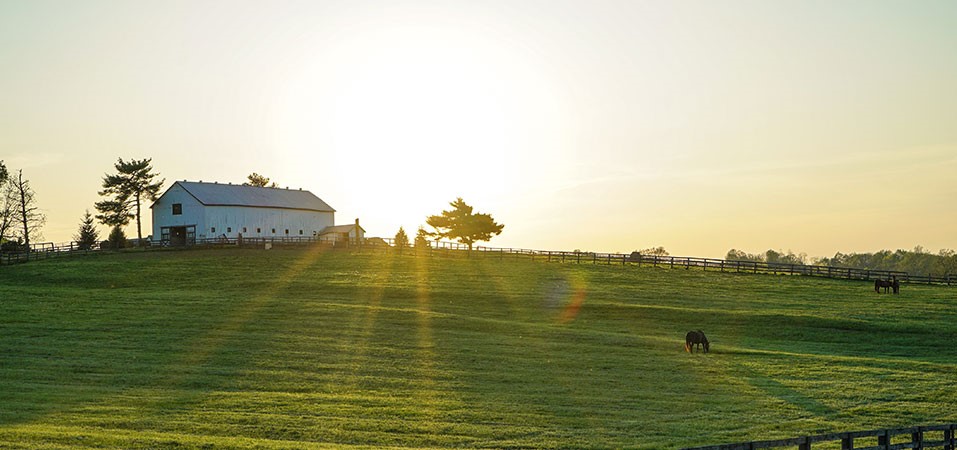 house on the prairie