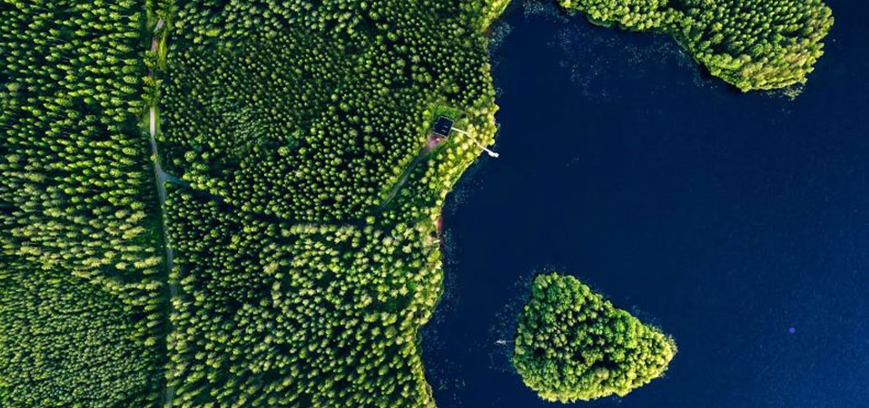 aerial view of green forests