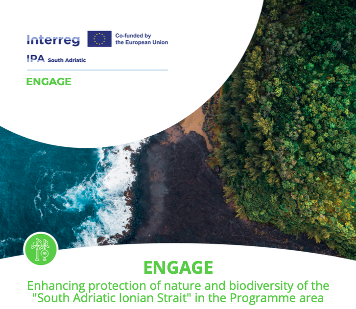 Interreg ENGAGE gathers experts in Termoli to tackle Marine Biodiversity and Sustainability challenges