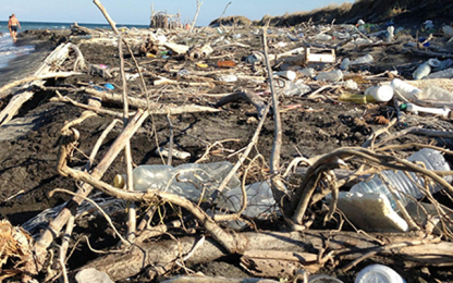 Trash on the beach