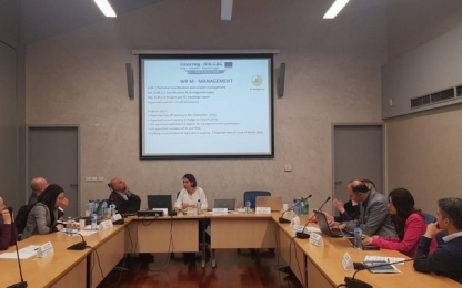 The second Steering Committee and Project Meeting of ON CLOUD NINE meeting with slide projection