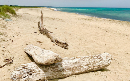 beach and sea