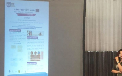 The wISHfUl project presented at the IDE Summer School 2019 Clara Renna presents the wISHfUl project