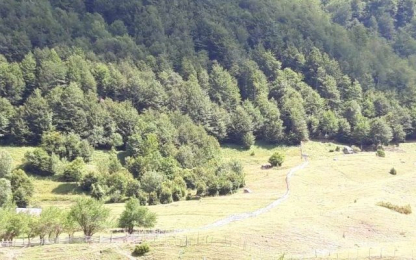 Territorial Marketing event on 18 August in Albania wood