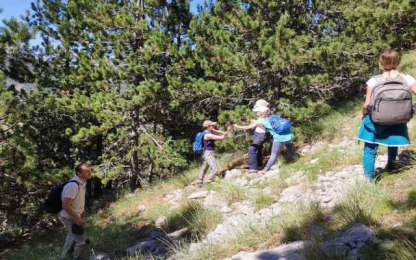 Monitoring of Pinus heldreichii in Montenegro people in a wood