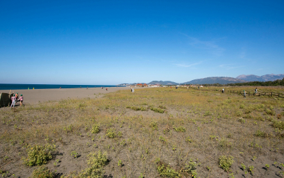 new deadline for competition to design protective structures for sand dunes Dunes
