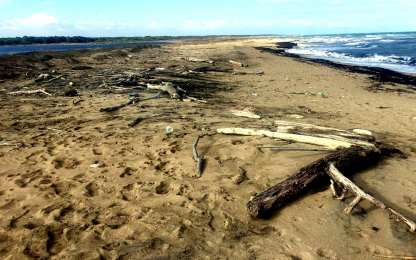 Workshop “Monitoring, management and reuse of marine litter" beach
