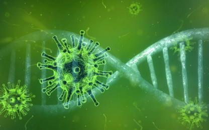 COVID-19 virus