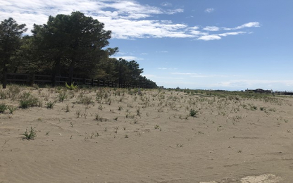 WELCOME promotes protection and revitalization of sand dunes sand dunes
