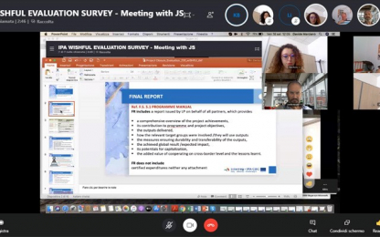 wISHfUl Evaluation Survey online meeting