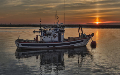 boat in the sea