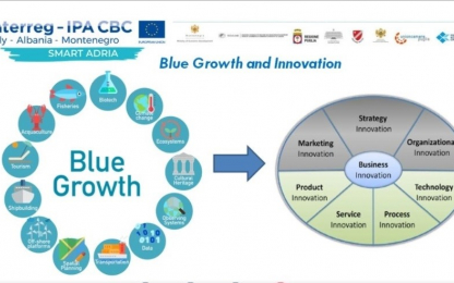 Blue Growth and Innovation infographic