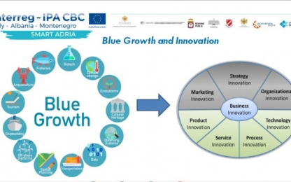 Second day with innovative projects and working groups Blue Growth and Innovation infographic