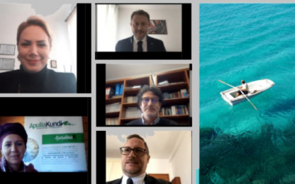 Cross-Border Conference Meeting call
