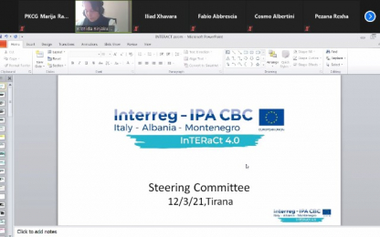 Steering Committee meeting Meeting call