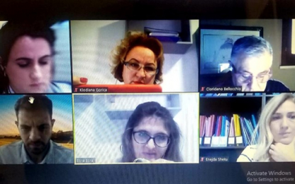 Webinar with discussion about the project Meeting call