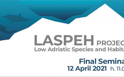 final seminar of LASPEH Laspeh Poster