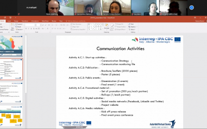 Coordination meeting held online Meeting call